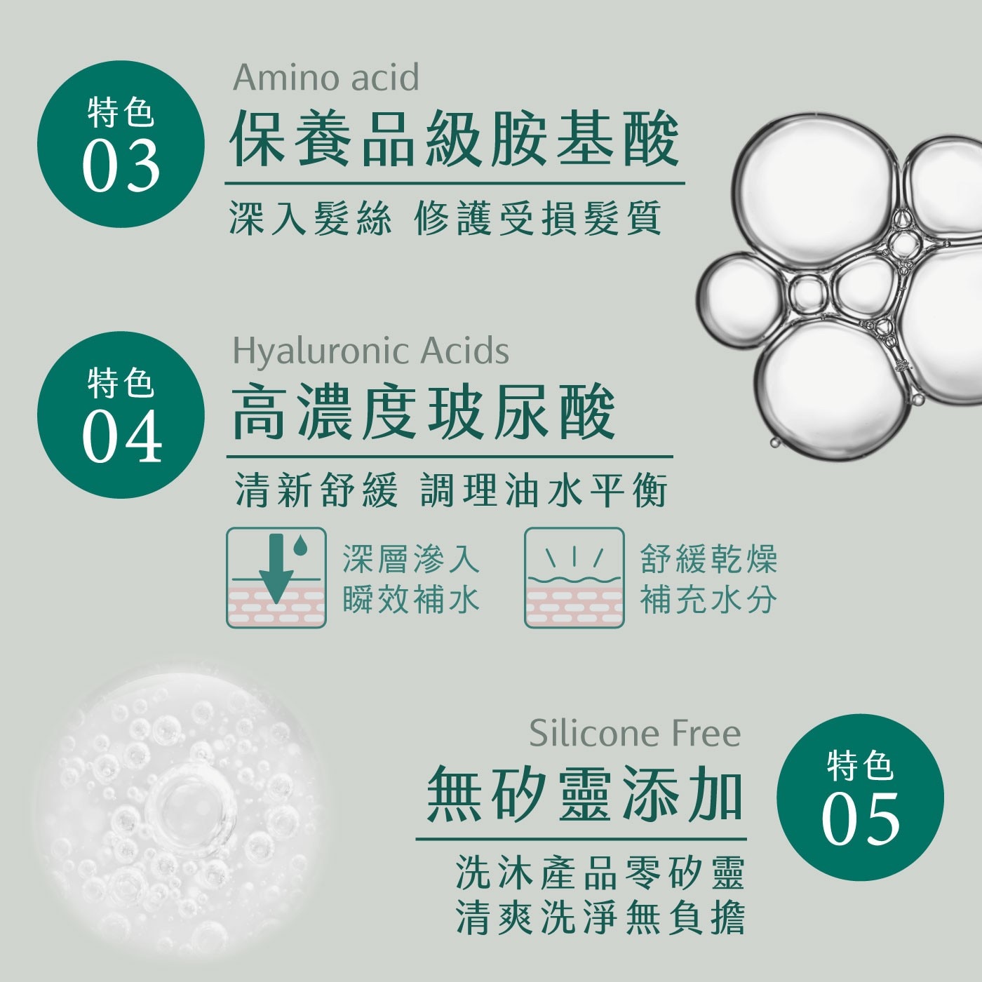 森歐黎漾 植研萃淨平衡茶樹抗屑洗髮露 1200毫升，頭皮屑、油性頭皮適用，茶樹精油添加，淨化頭皮，甘草酸衍生物與蜂王漿，舒緩不適。