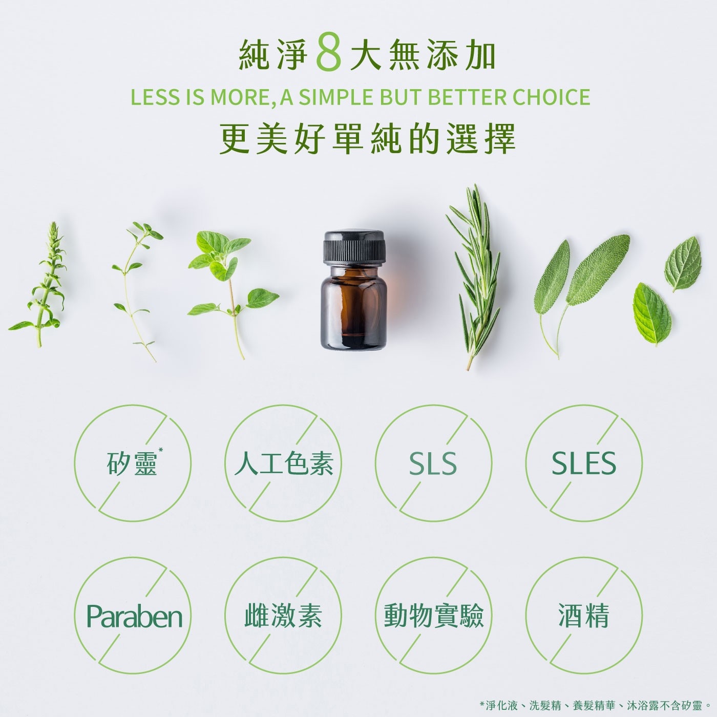 森歐黎漾 植研萃淨平衡茶樹抗屑洗髮露 1200毫升，頭皮屑、油性頭皮適用，茶樹精油添加，淨化頭皮，甘草酸衍生物與蜂王漿，舒緩不適。