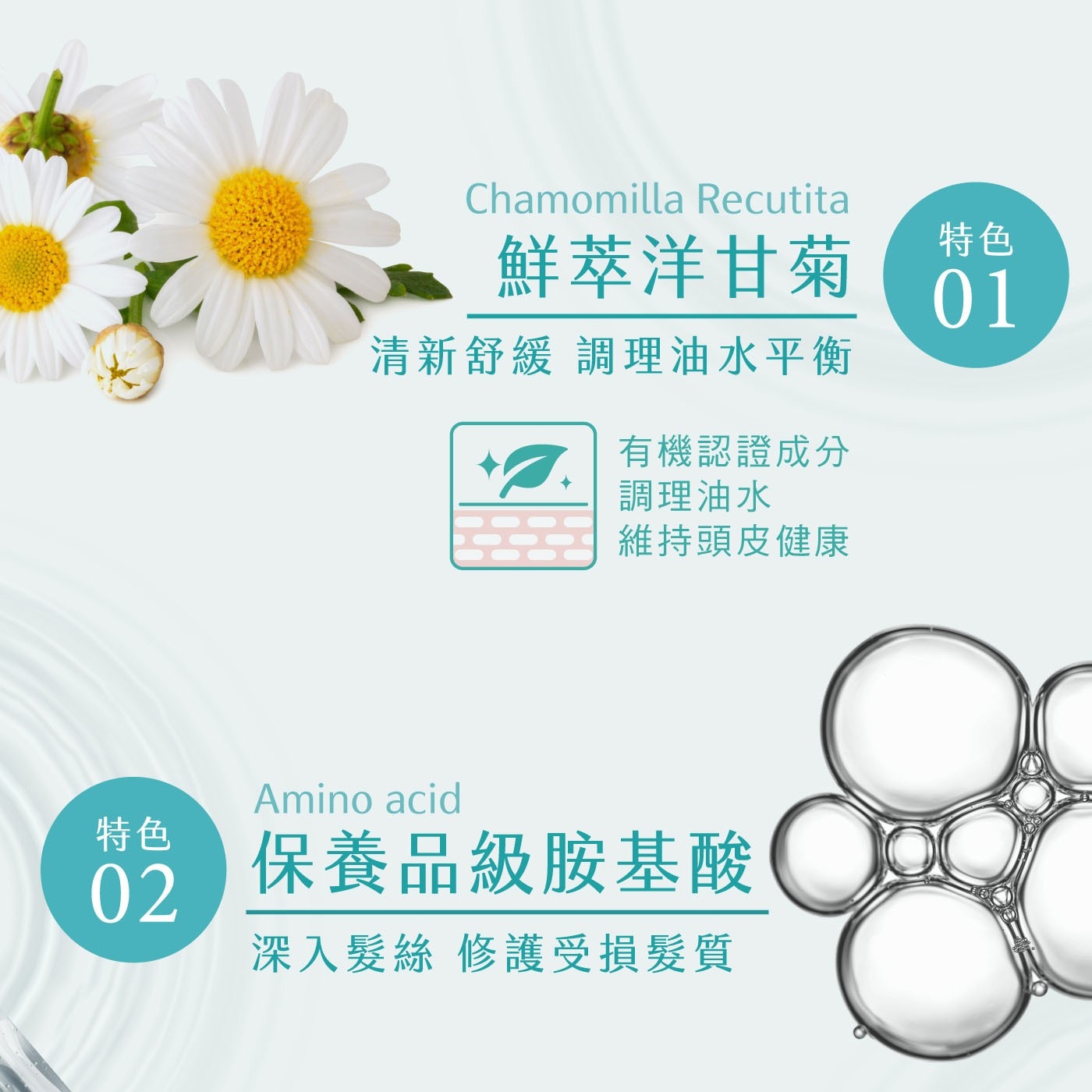森歐黎漾 植研萃淨平衡涼感洗髮露 1200毫升，清新涼感，頭皮舒涼潔淨，薄荷精油，調理去油舒適涼爽，油性髮質、一般髮質適用，不含矽靈，洗後清爽蓬鬆。