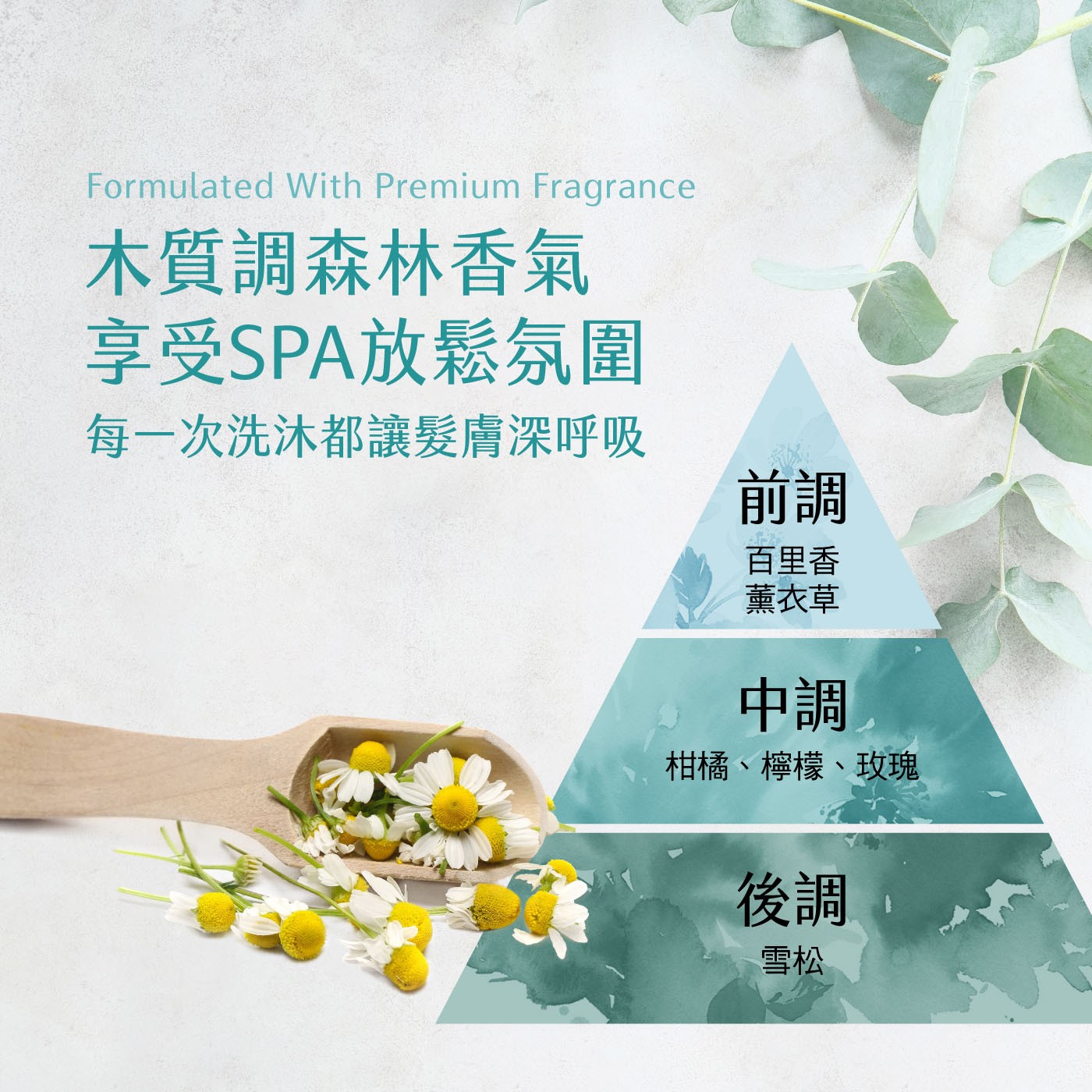 森歐黎漾 植研萃淨平衡涼感洗髮露 1200毫升，清新涼感，頭皮舒涼潔淨，薄荷精油，調理去油舒適涼爽，油性髮質、一般髮質適用，不含矽靈，洗後清爽蓬鬆。