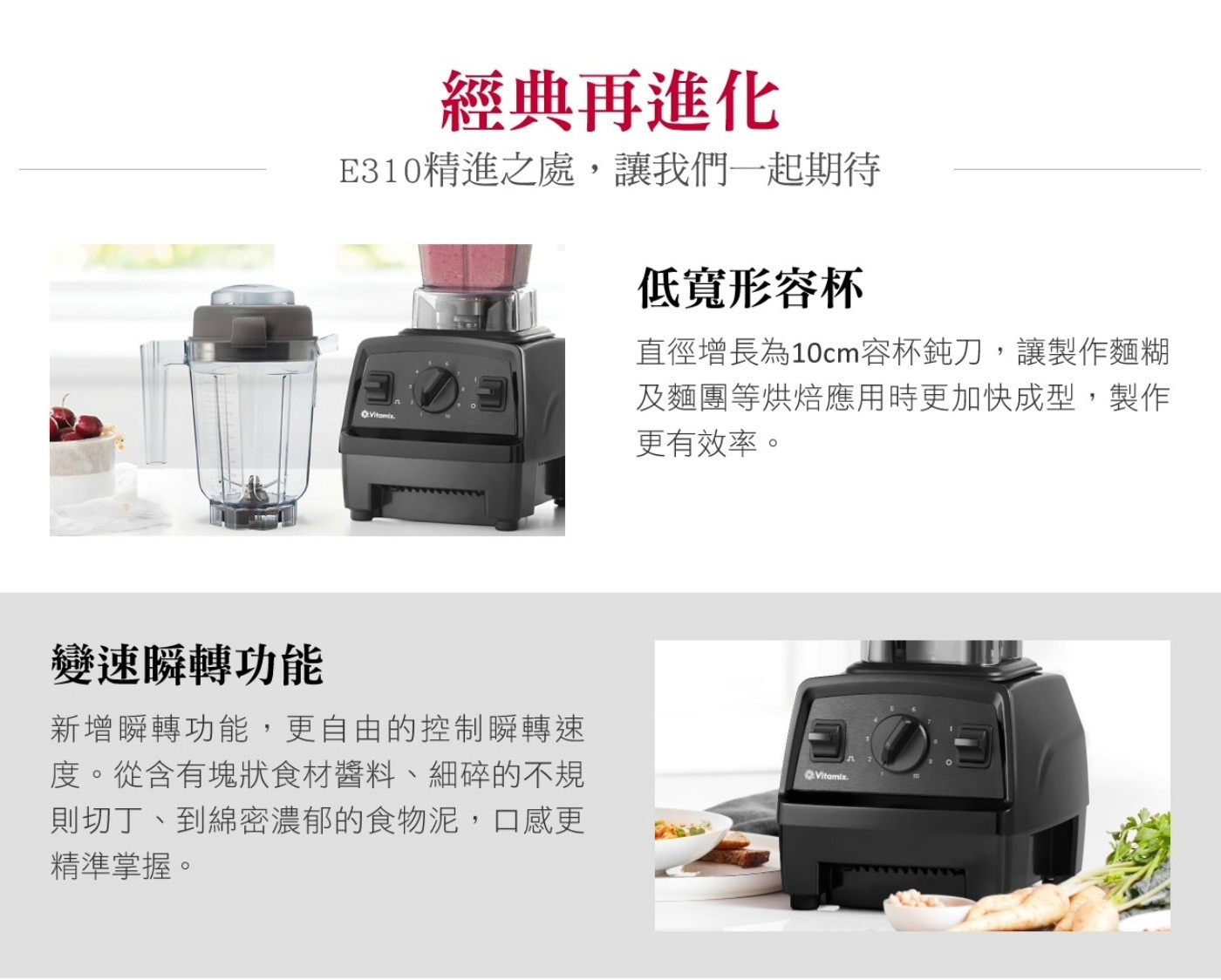 Vitamix 全營養調理機 E310