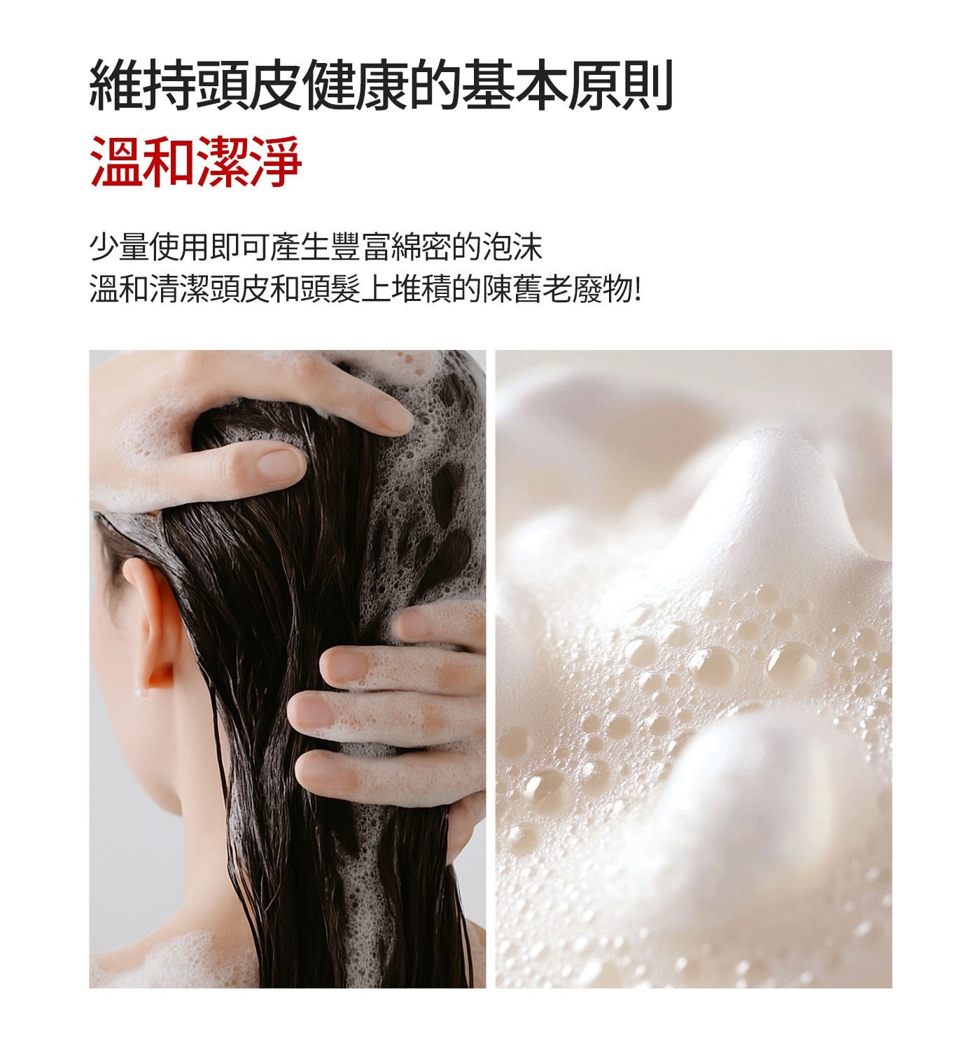 Elastine山茶花奢華柔順蛋白修護洗髮精• 弱酸性親膚配方