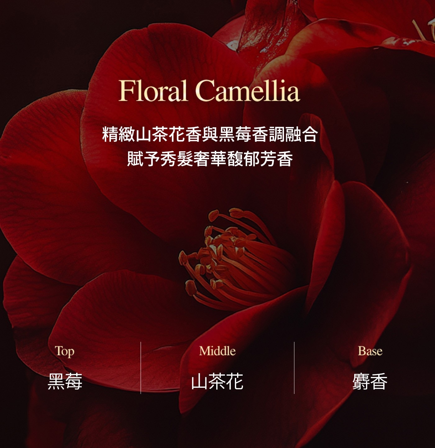 Elastine山茶花奢華柔順蛋白修護洗髮精• 修護滋潤枯髮，展現光澤彈力