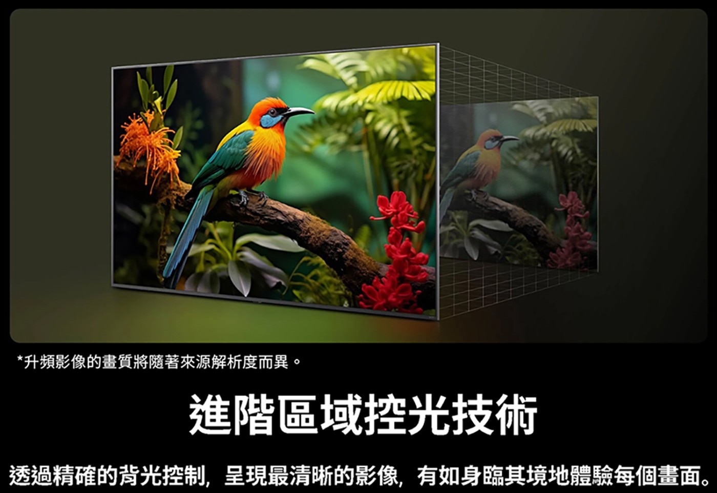 LG 75吋 QNED AI 4K 智慧顯示器 75QNED82ATA，栩栩如生，AI專屬個人化，便利生活。