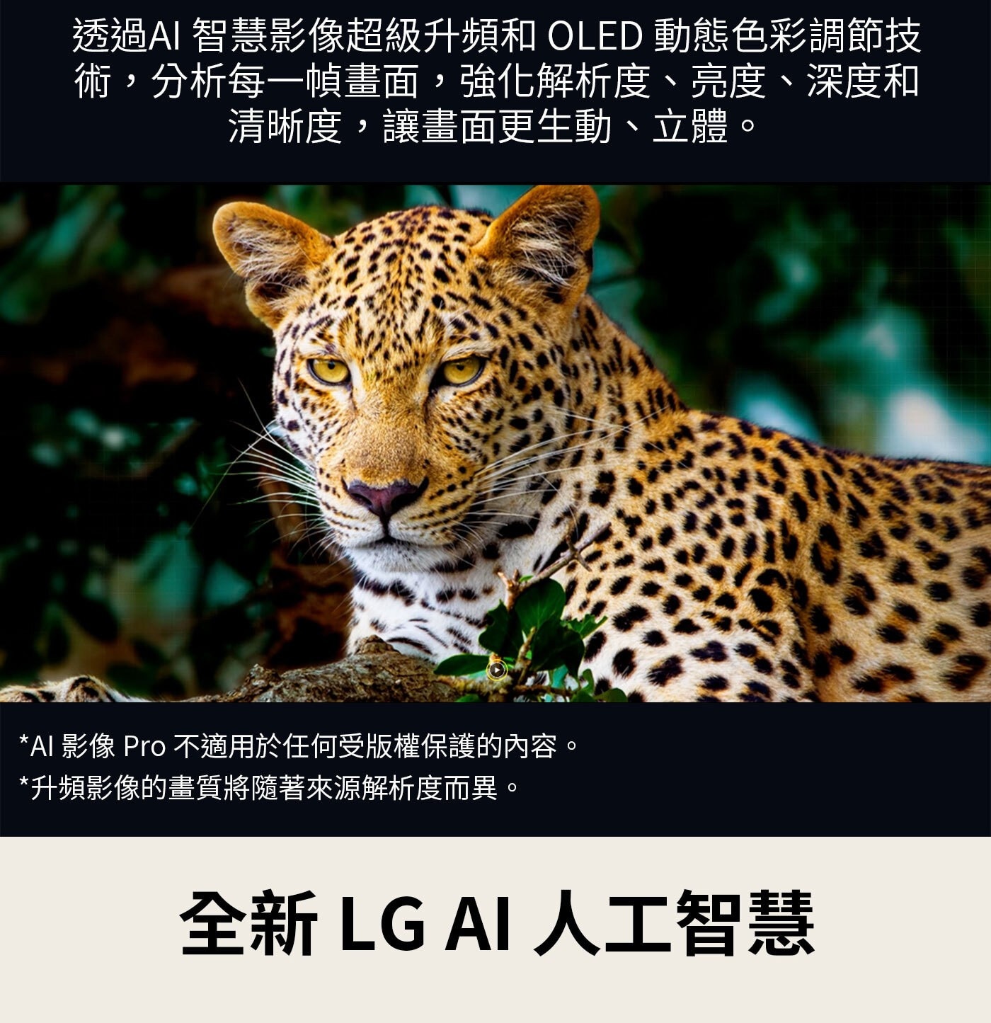 LG 65'' OLED MONITOR65吋OLED顯示器OLED65B5PTA