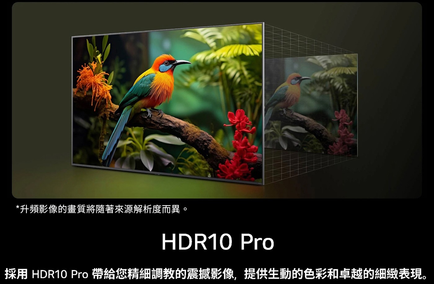 LG 65吋UHD AI 4K 智慧顯示器