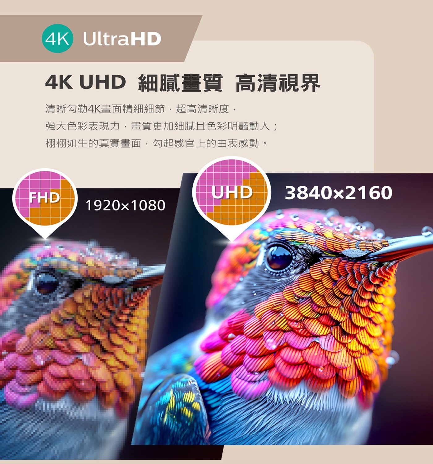 飛利浦 75吋 4K Google TV 顯示器聲霸組合4.HDR 支援 (HDR10, HLG, Dolby Vision)4k影音滿貫