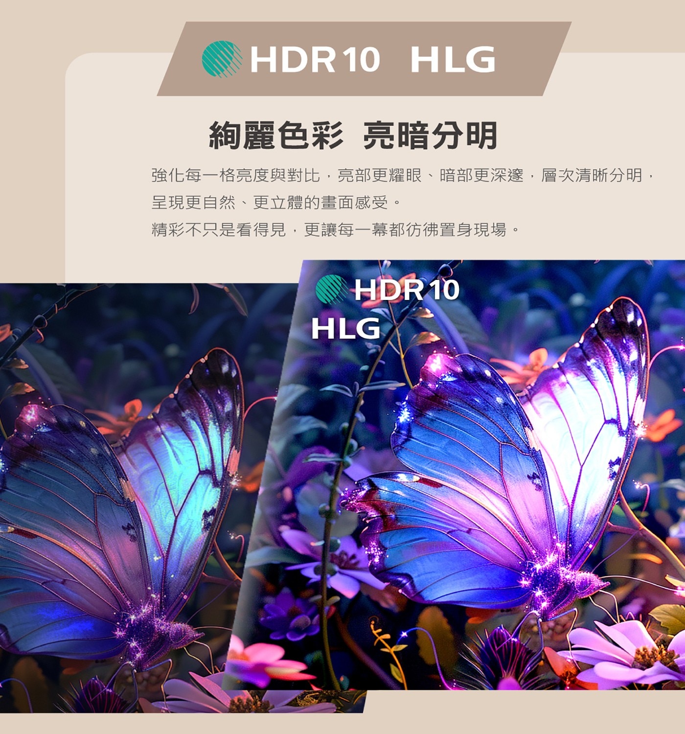 飛利浦 75吋 4K Google TV 顯示器聲霸組合5.音效解碼支援 Dolby Atmos 全景聲劇院級饗宴