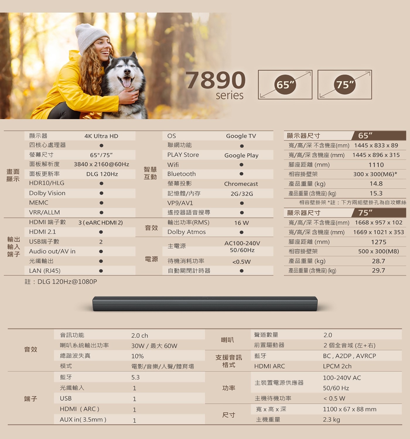 飛利浦 65吋 4K Google TV 顯示器聲霸組合3.支援USB撥放MP3音樂