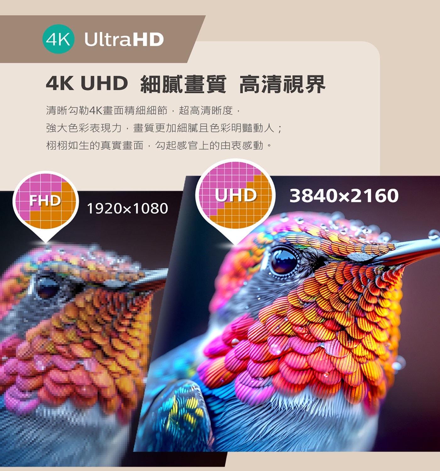 飛利浦 55吋 4K Google TV 顯示器4.HDR 支援 (HDR10, HLG, Dolby Vision)4k影音滿貫