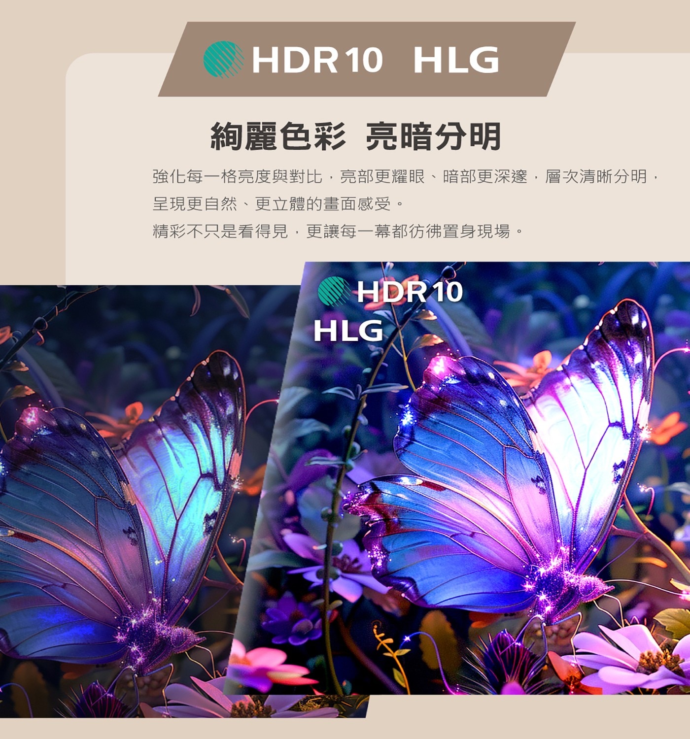 飛利浦 55吋 4K Google TV 顯示器5.音效解碼支援 Dolby Atmos 全景聲劇院級饗宴