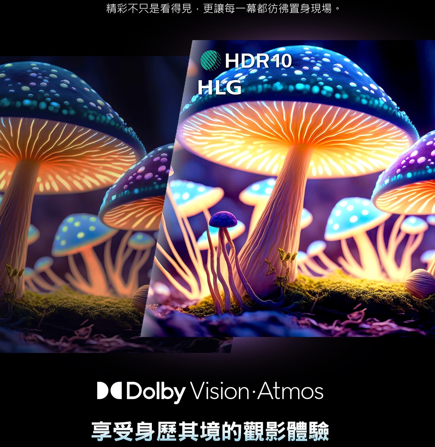 飛利浦 85吋 4K MiniLED 144Hz Google TV 顯示器7.QLED驚豔色彩廣色域 DCI/P3 93%