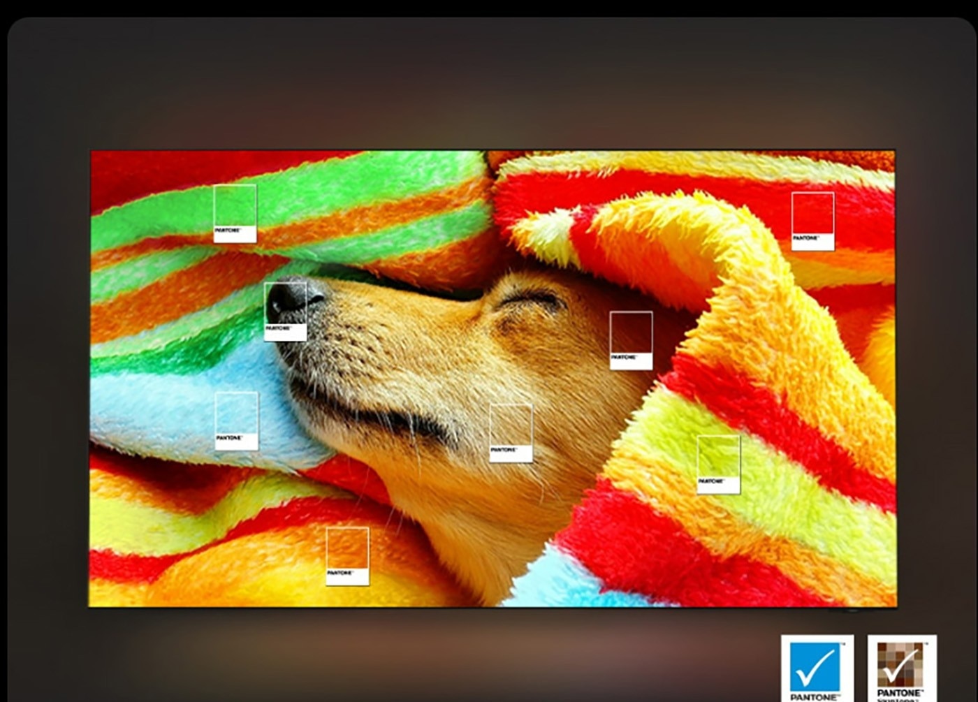 Samsung 65吋 Neo QLED 4K AI 量子智慧顯示器 QA65QN1EFAXXZW