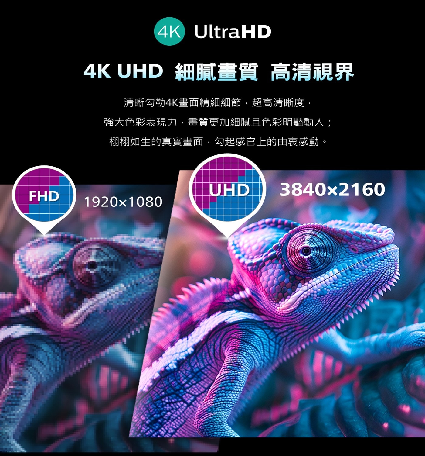 飛利浦 65吋 4K Google TV顯示器4.HDR 支援 (HDR10, HLG, Dolby Vision)4k影音滿貫