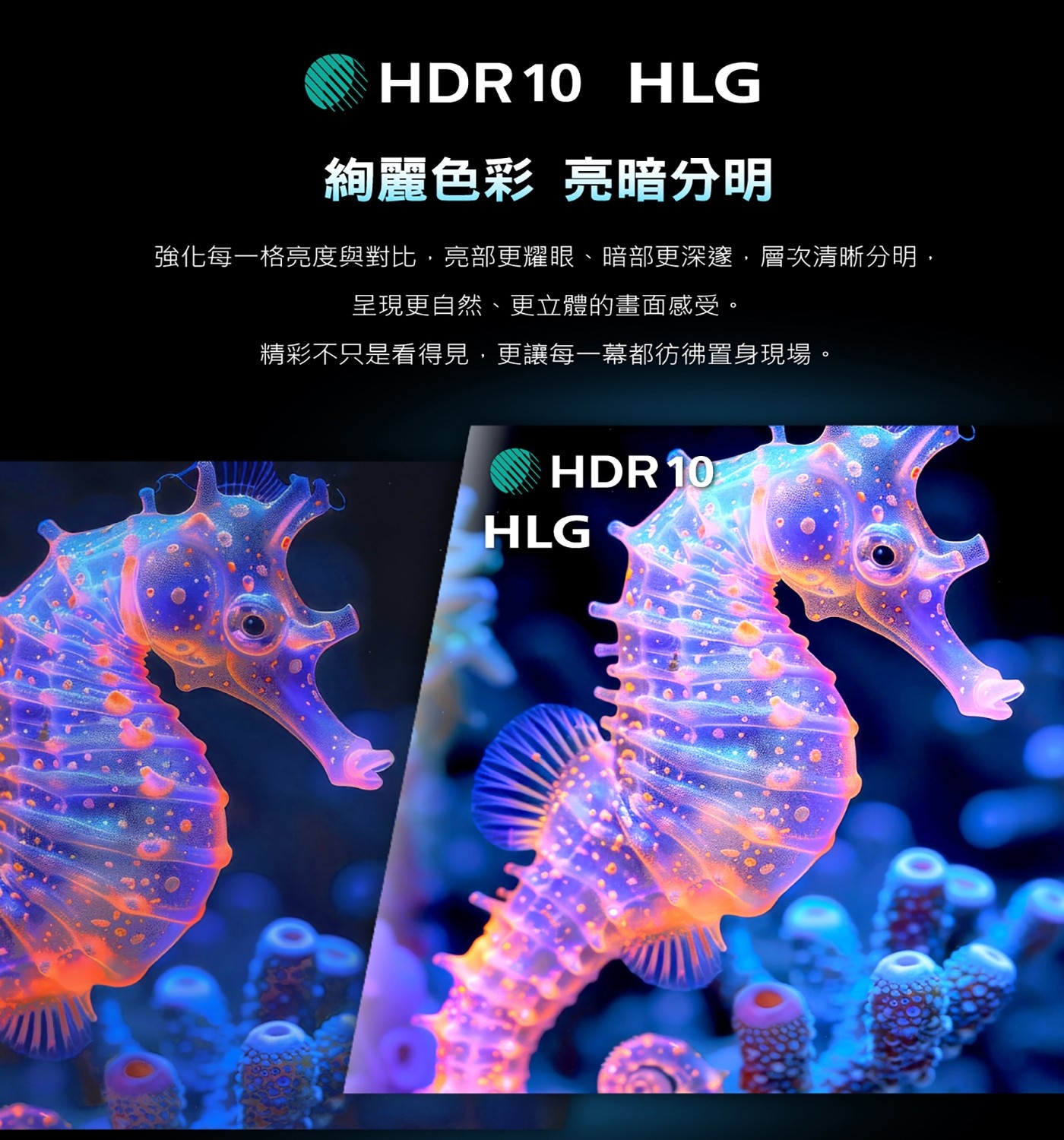 飛利浦 65吋 4K Google TV顯示器5.音效解碼支援 Dolby Atmos 全景聲劇院級饗宴