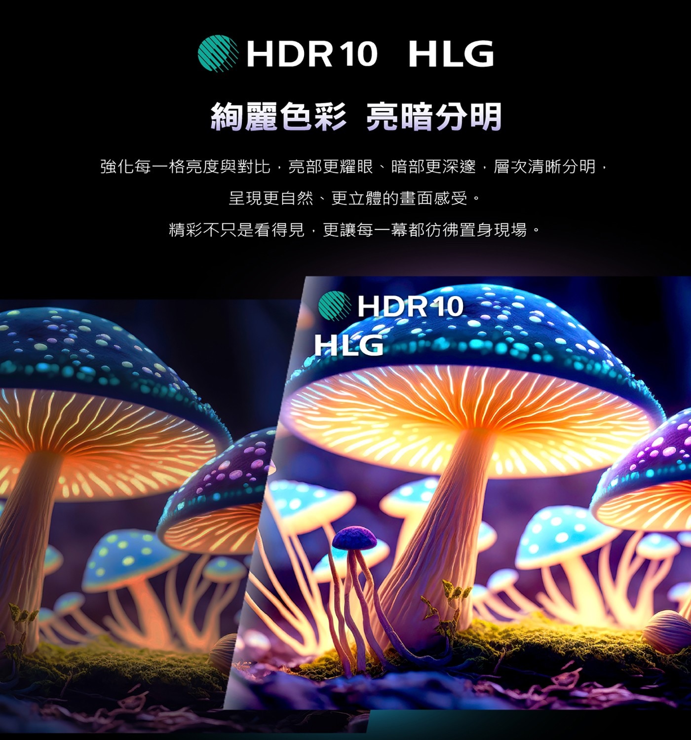 飛利浦 50吋 4K QLED Google TV 顯示器6.HDR 支援 (HDR10, HLG, Dolby Vision)4k影音滿貫