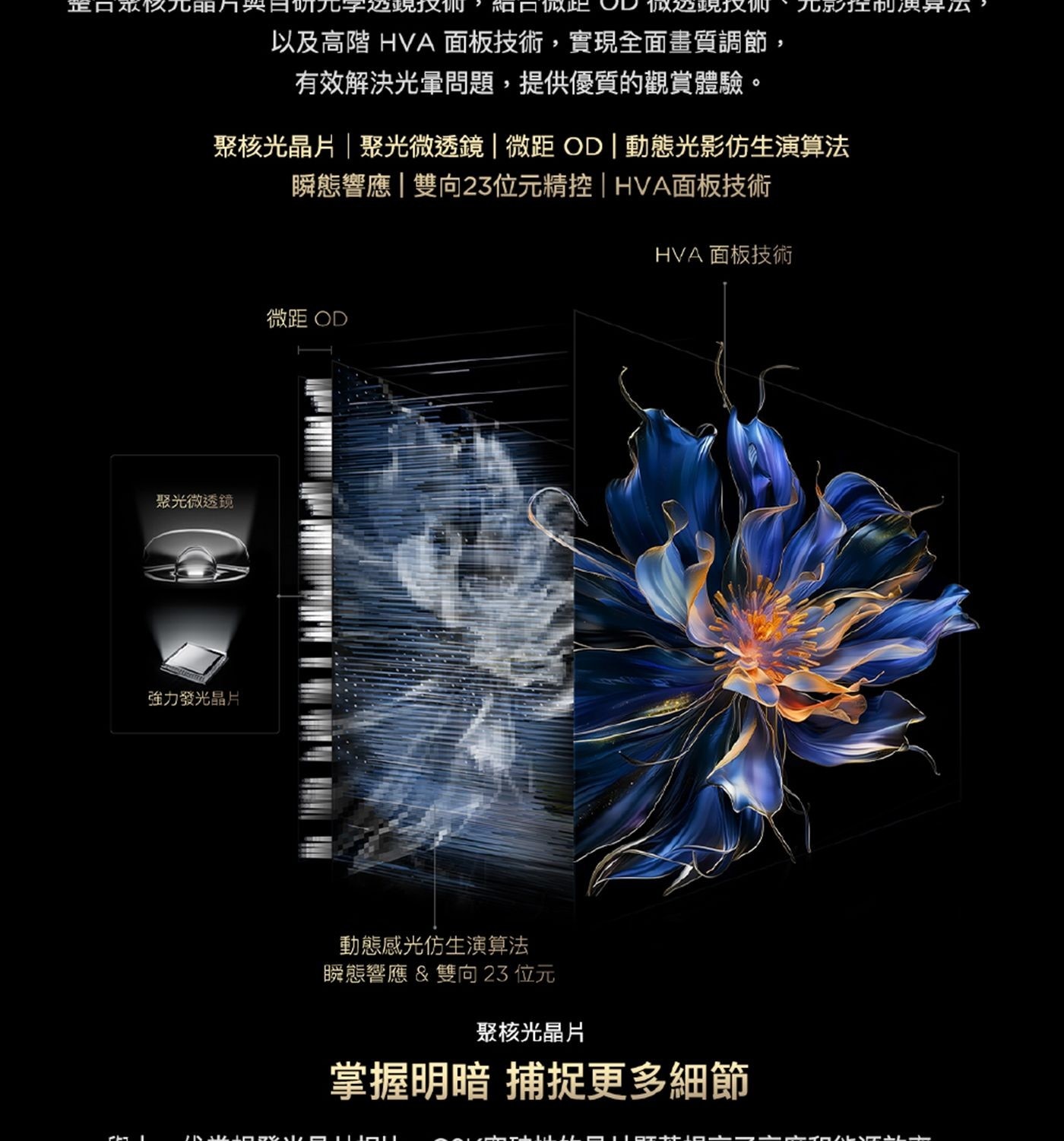 TCL 98吋 4K Mini LED Google TV 量子智能液晶顯示器 不含視訊盒 98C6K