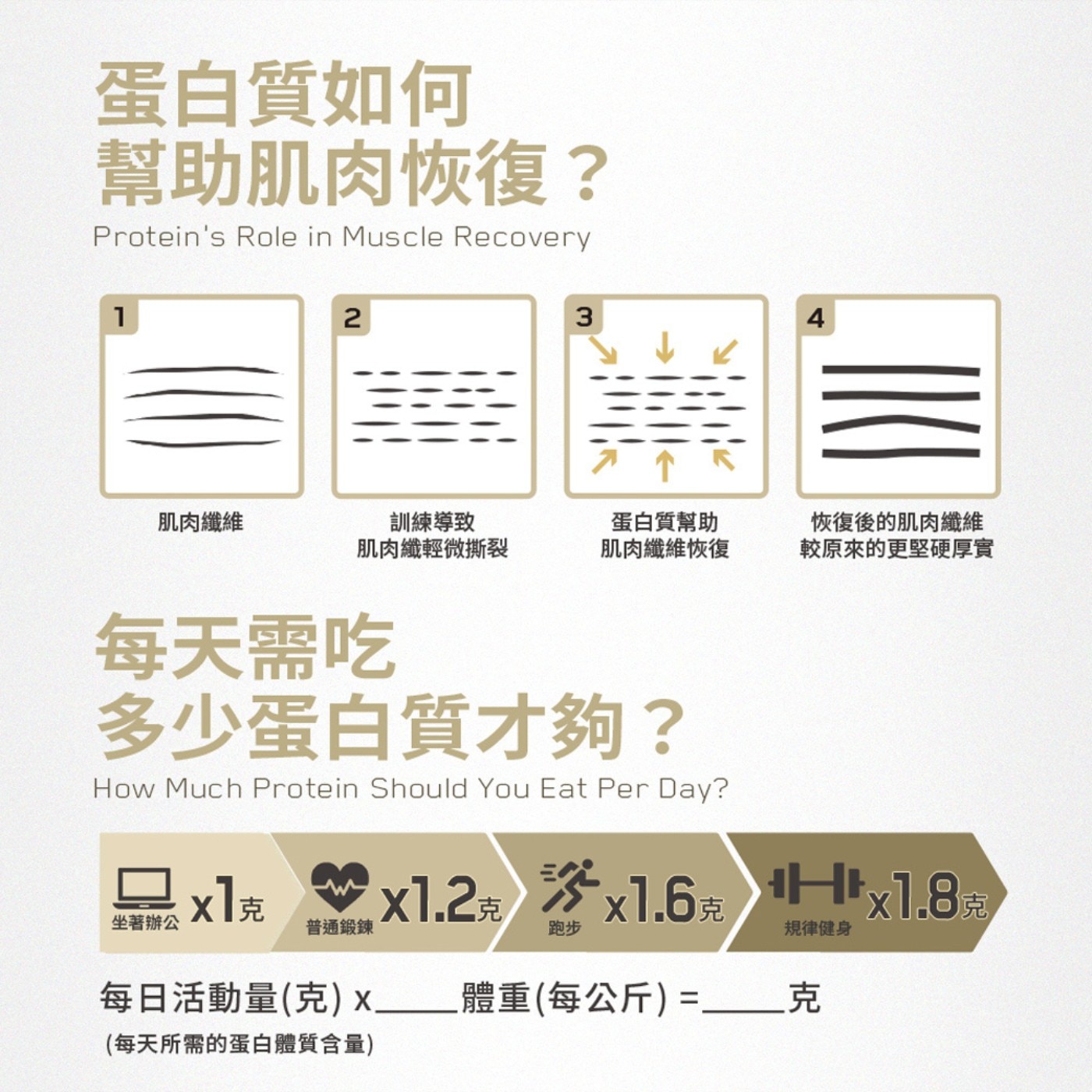 Myprotein 牛奶蛋白飲 奶茶風味 幫助肌肉恢復