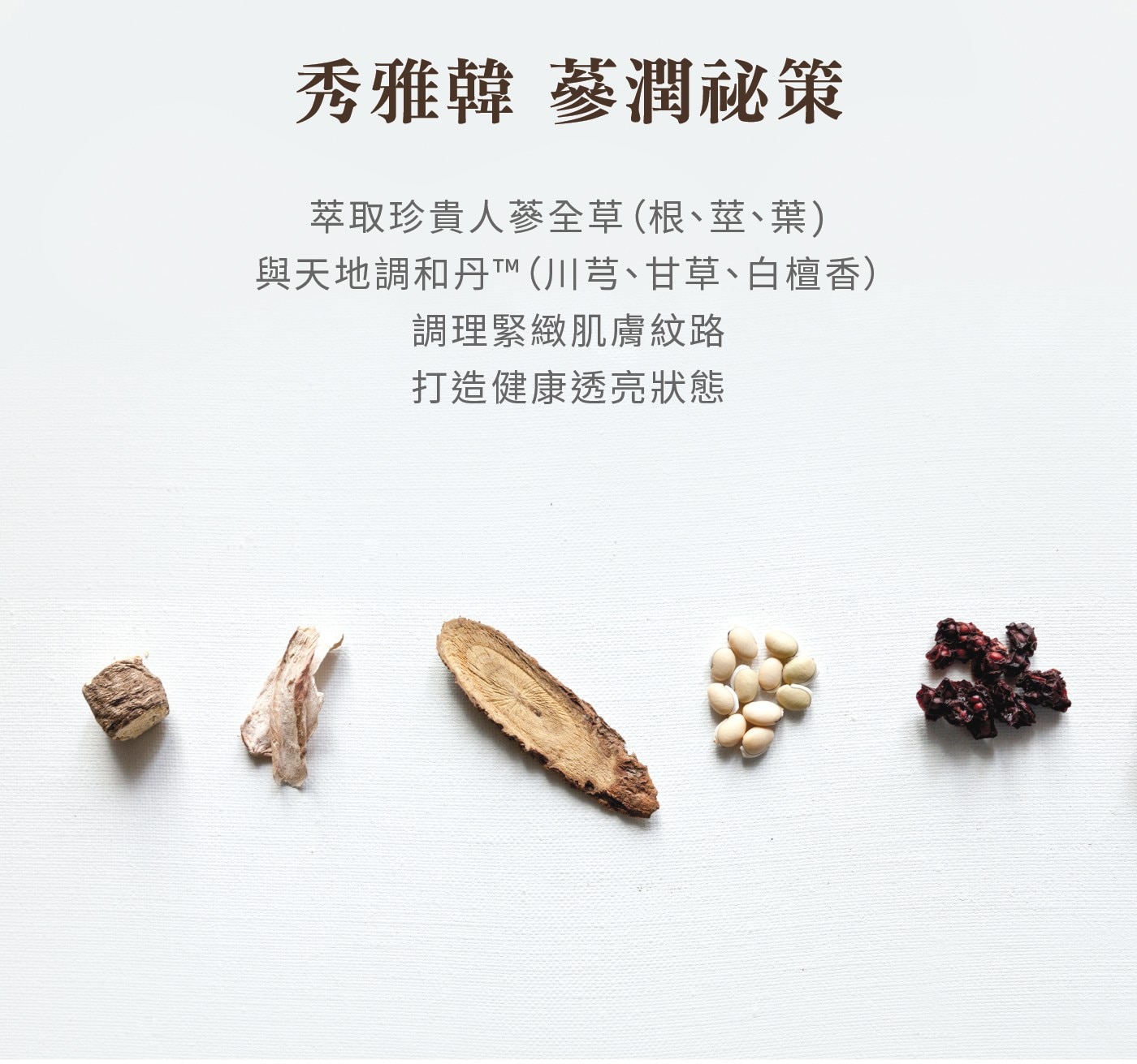 秀雅韓 蔘潤祕策乳液組．添加天地調和丹™