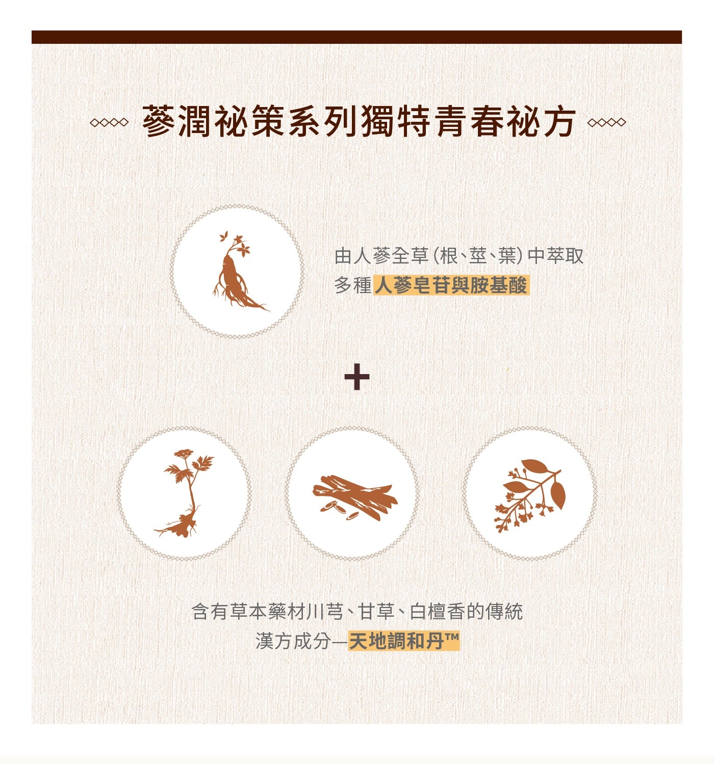 秀雅韓 蔘潤祕策乳液組．調理撫平細微紋路