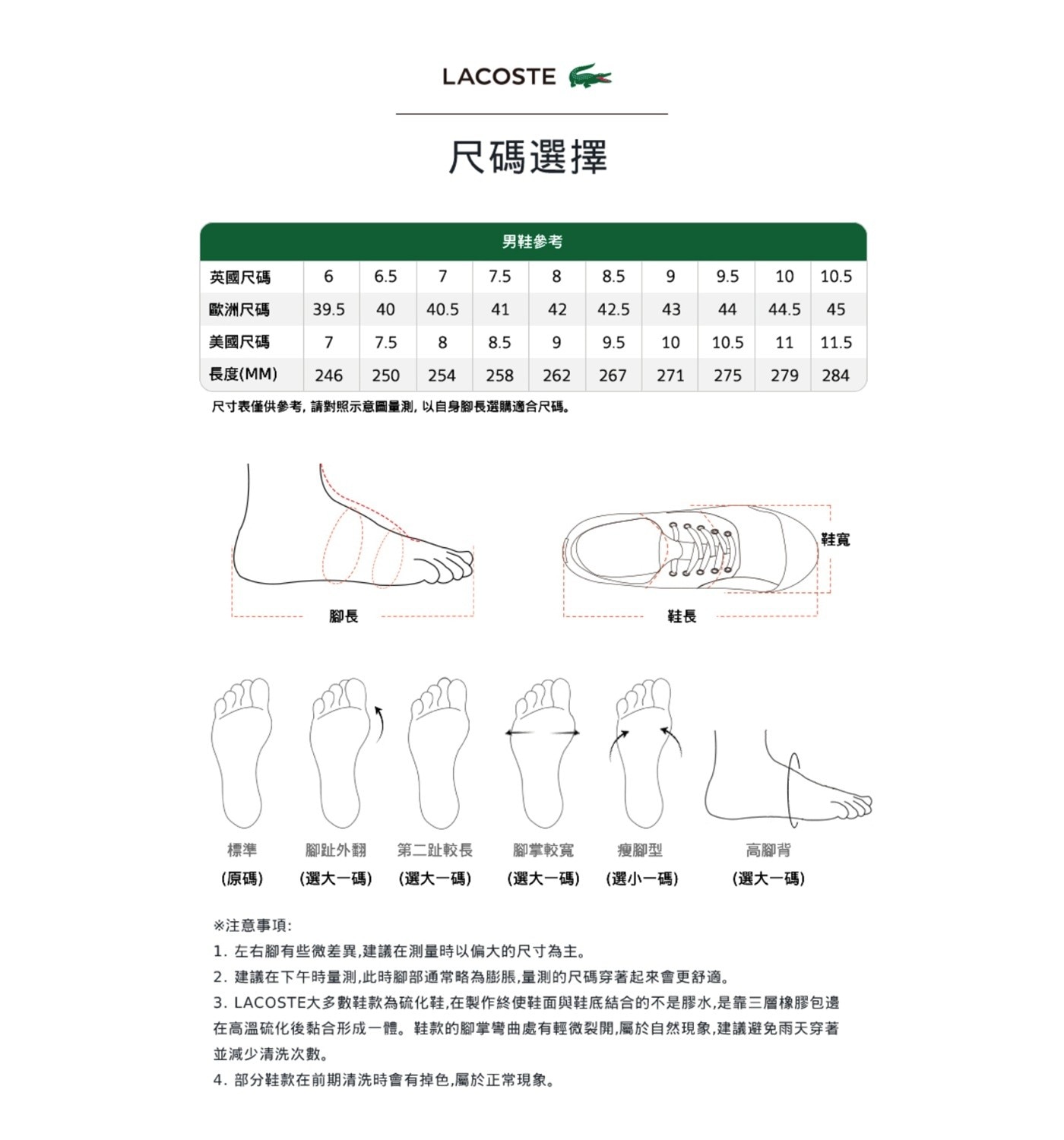 LACOSTE 尺碼選擇