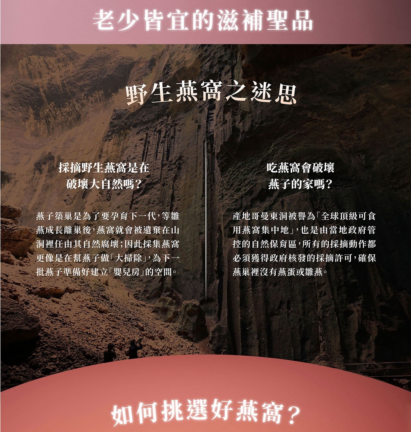 余仁生即飲野生花燕窩 70公克 X 6瓶 天然黃金色澤，燕條粗厚，口感彈脆紮實