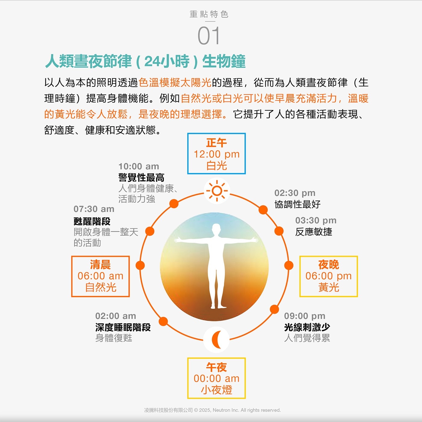 重點特色 01 人類晝夜節律24小時生物鐘 以人為本的照明透過色溫模擬太陽光的過程,從而為人類晝夜
