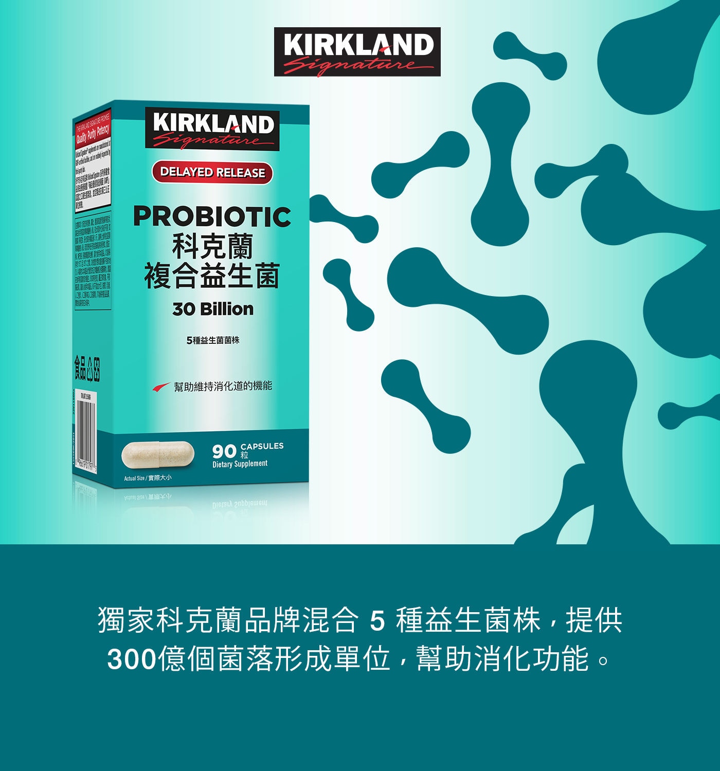 Kirkland Signature 科克蘭複合益生菌有助於維持消化道機能。