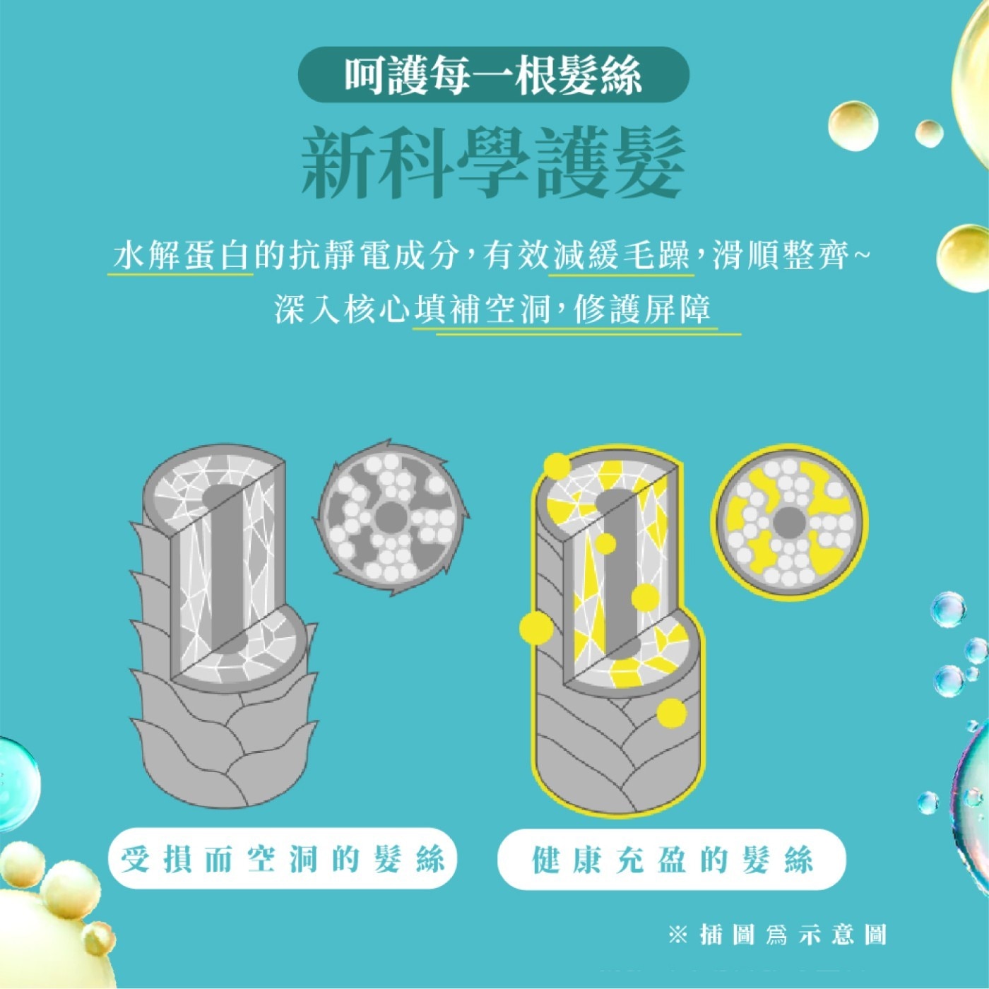 摩洛哥深層潤澤洗髮露．滲透修護髮芯