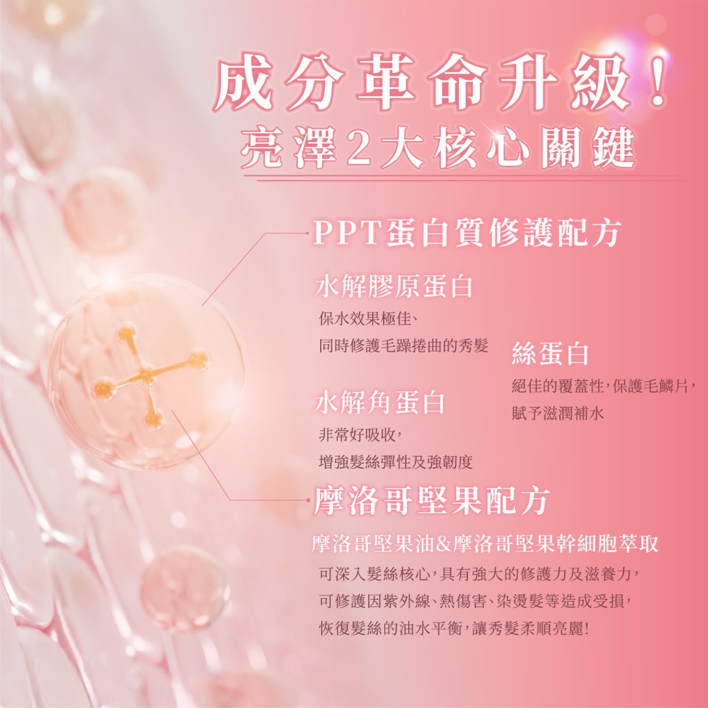 摩洛哥水感修護洗髮露 ．三重熱修護配方