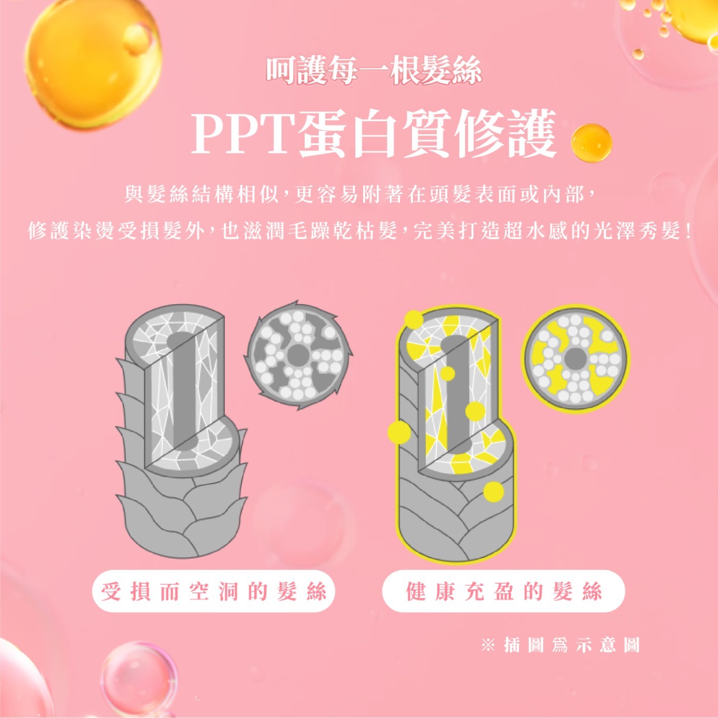 摩洛哥水感修護洗髮露 ．特別推薦追求保濕水感、細軟髮質使用
