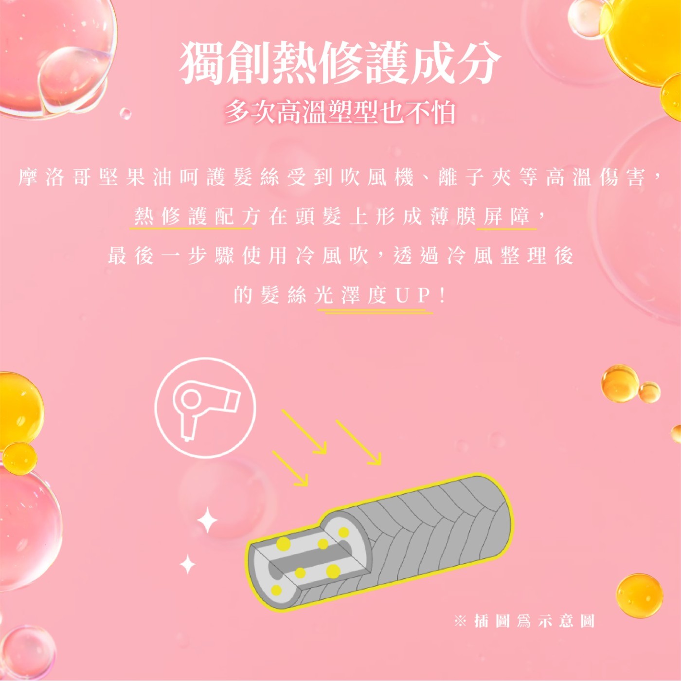 摩洛哥水感修護護髮素．三重熱修護配方