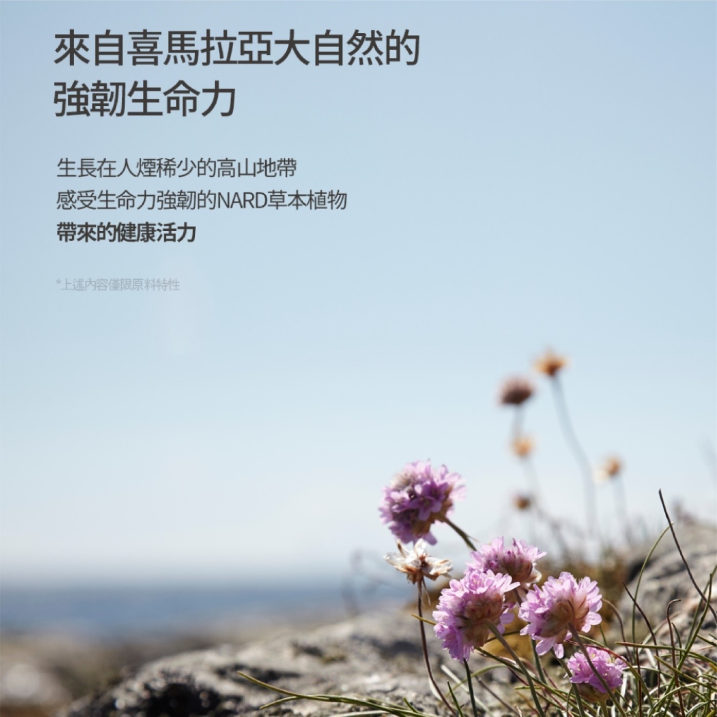 草本強健髮根洗髮精．嚴選強健髮根的４大核心成分： 右泛醇、煙酰胺、 水楊酸、 薄荷醇。