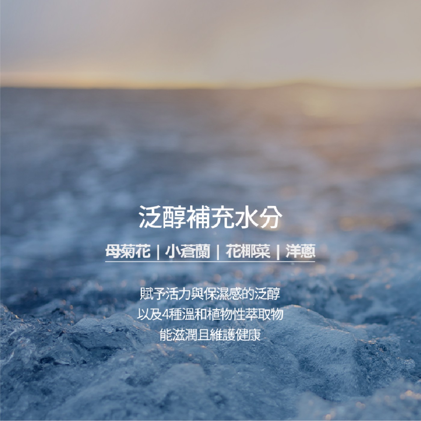 NARD 頭皮深層淨化洗髮精．16種胺基酸及多種草本配方