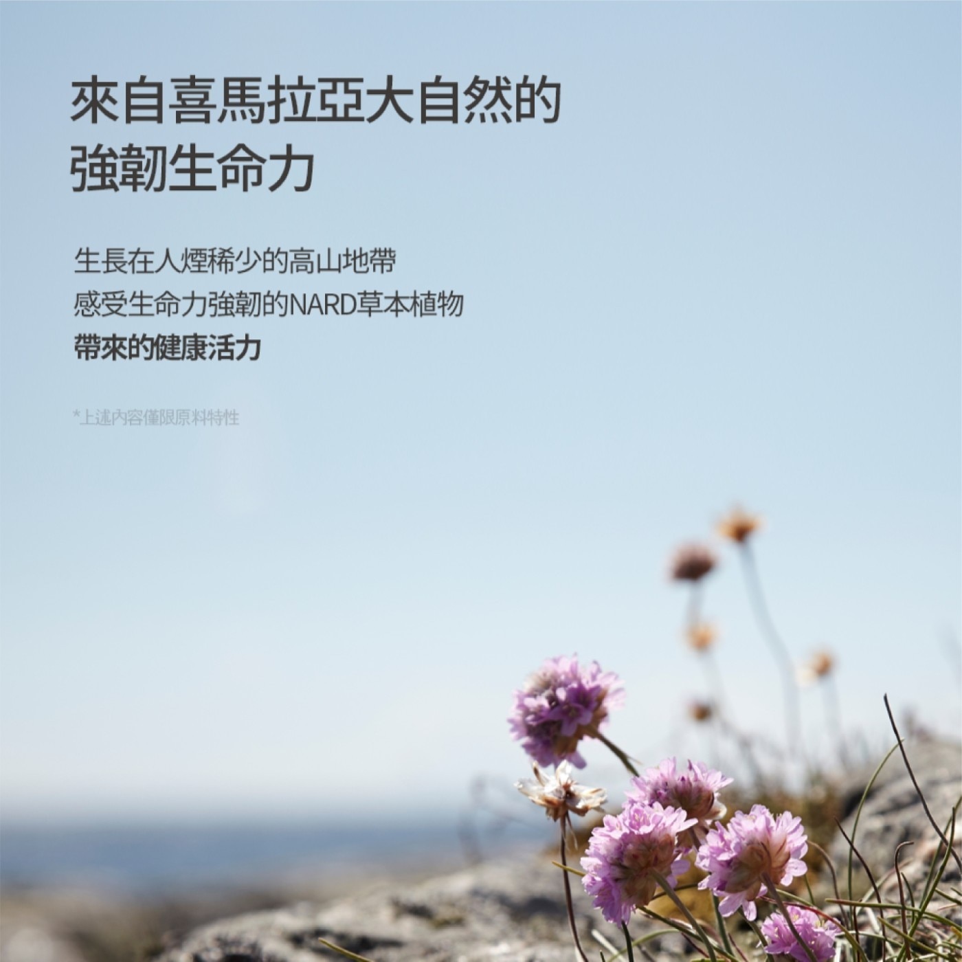 NARD 頭皮深層淨化洗髮精．泛醇、德國洋甘菊、小蒼蘭