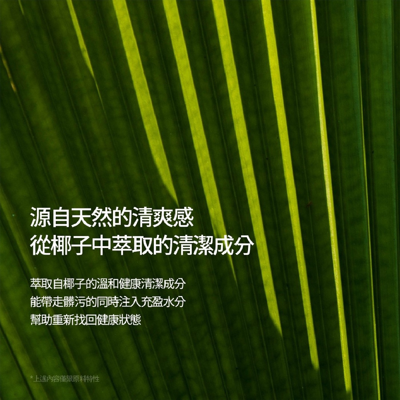 NARD 草本修護洗髮精薰衣草．純天然椰子萃取