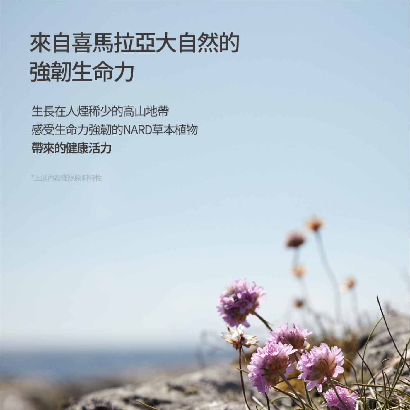 NARD 草本修護護髮乳．還有11種氨基酸深入且修護打造保濕屏障