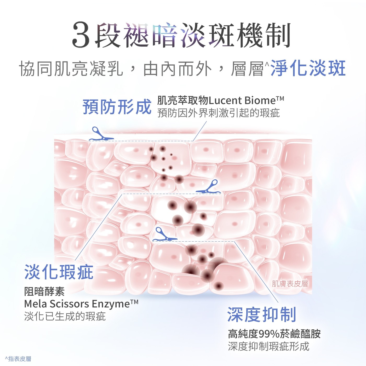 3段褪暗淡斑機制 協同肌亮凝乳,由內而外...