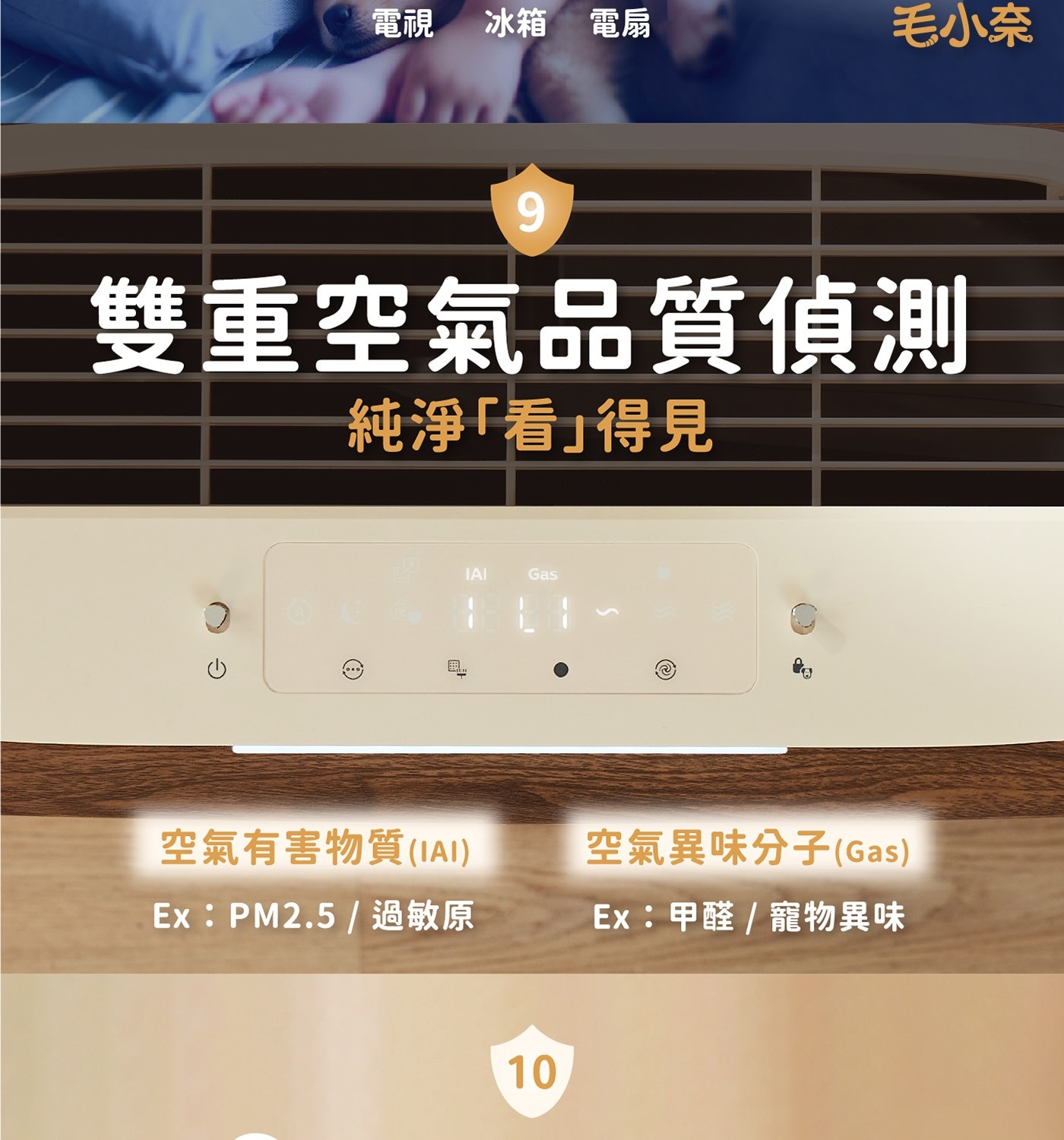 電視 冰箱 電扇 毛小奈 9 雙重空氣品質偵測 純淨「看」得見 IAI Gas