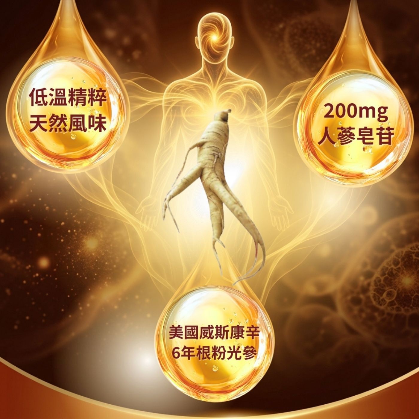 低溫精粹 天然風味 200mg 人蔘皂苷 美國威斯康辛 6年根粉光參