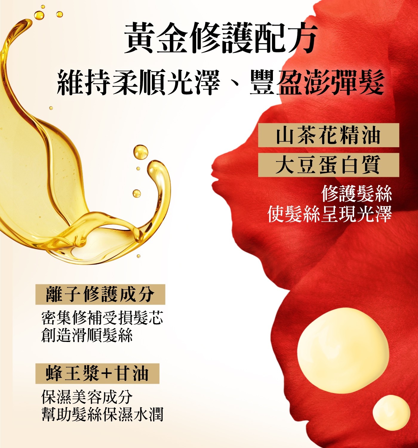 黃金修護配方維持柔順光澤、豐盈澎彈髮山茶花精油大豆蛋白質