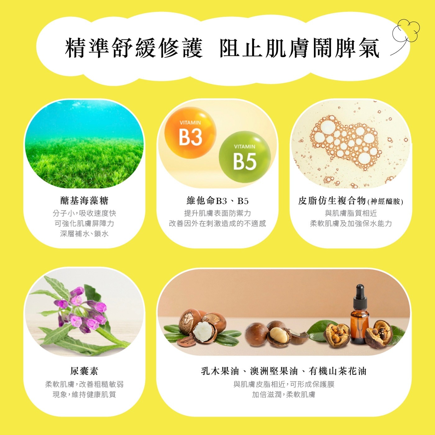 精準舒緩修護 阻止肌膚鬧脾氣 VITAMIN B3 B5 醣基海藻糖 維他命B3、B5