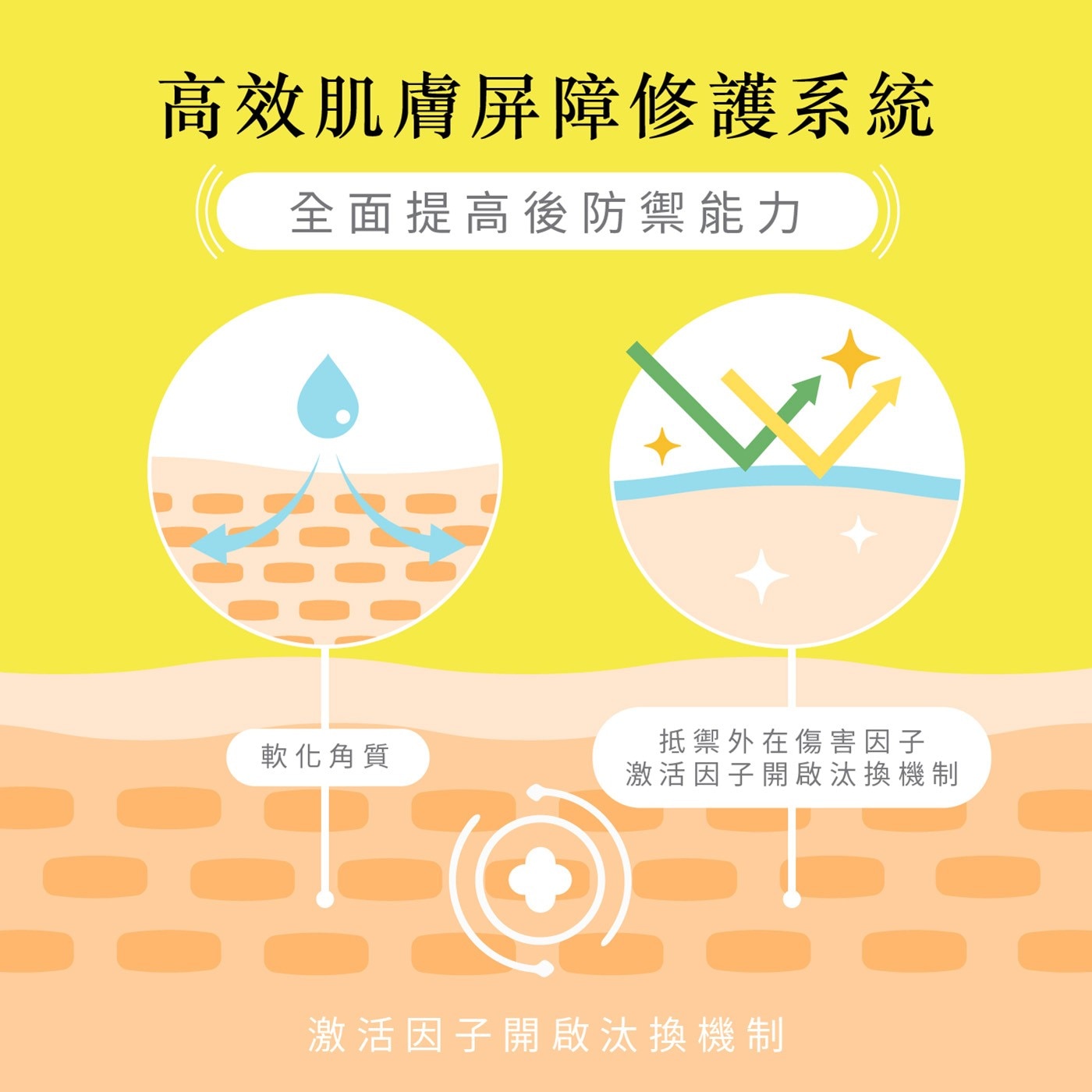 高效肌膚屏障修護系統 全面提高後防禦能力 軟化角質 抵禦外在傷害因子 激活因子開啟汰換機制