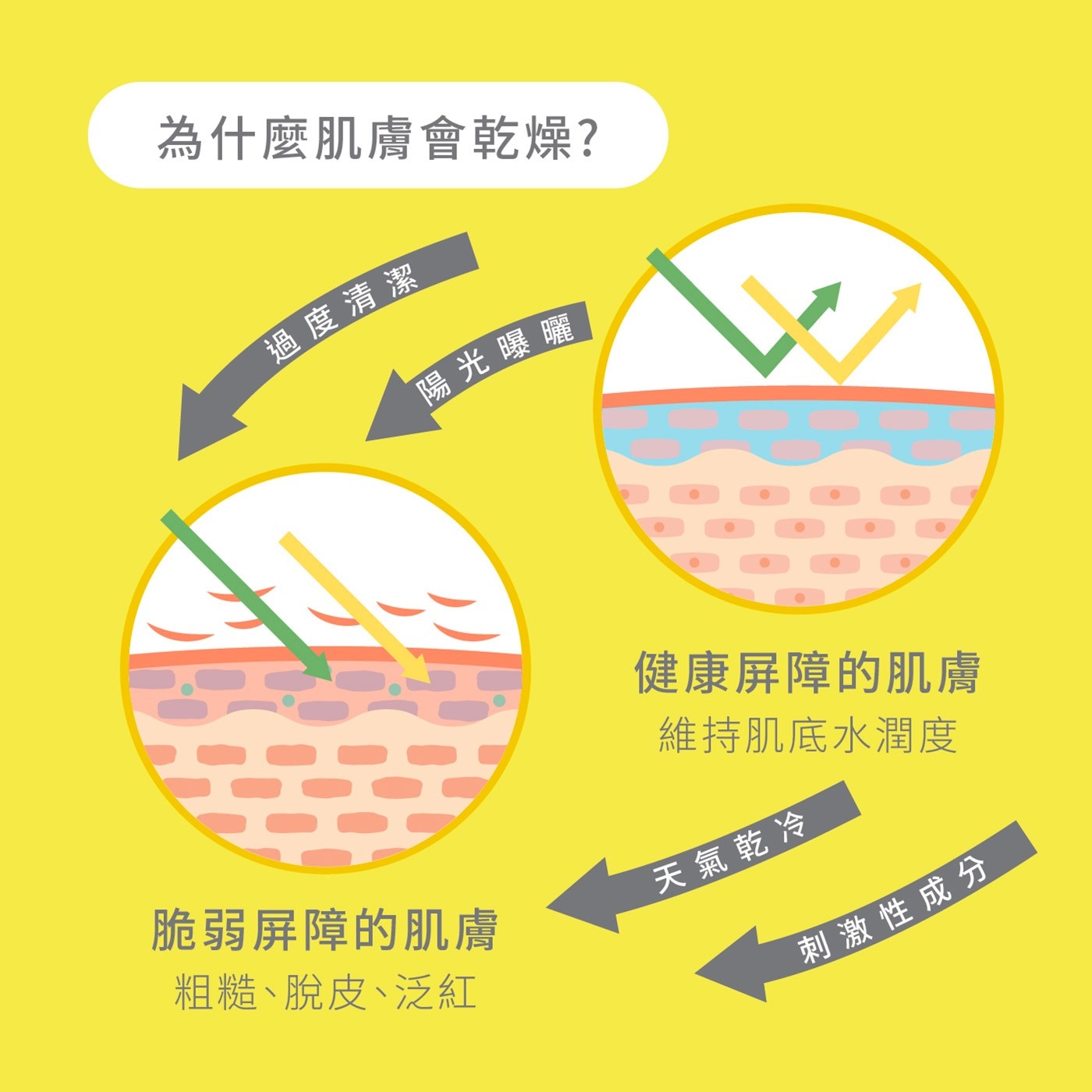 為什麼肌膚會乾燥? 過度清潔 陽光曝曬 健康屏障的肌膚 維持肌底水潤度 粗糙、脫皮、泛紅