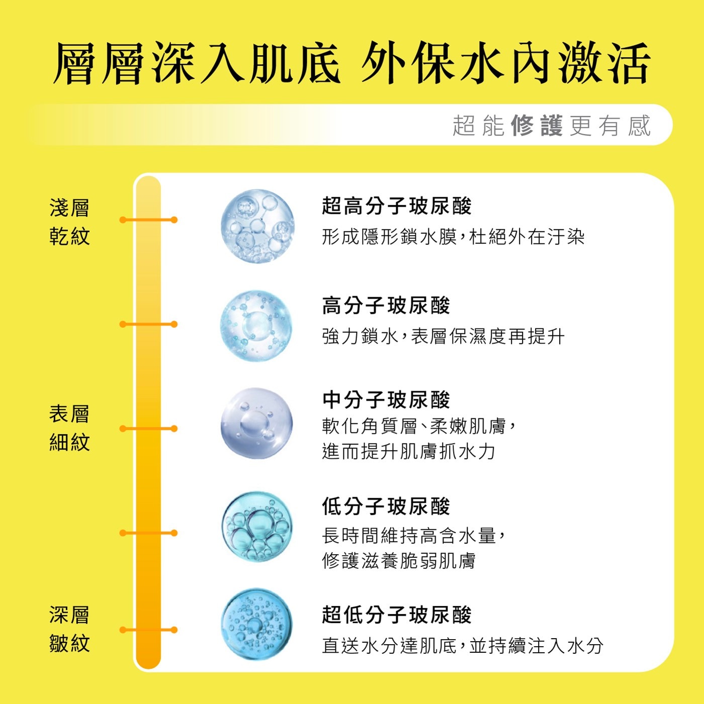 層層深入肌底 外保水內激活 超能修護更有感 淺層 超高分子玻尿酸 乾紋