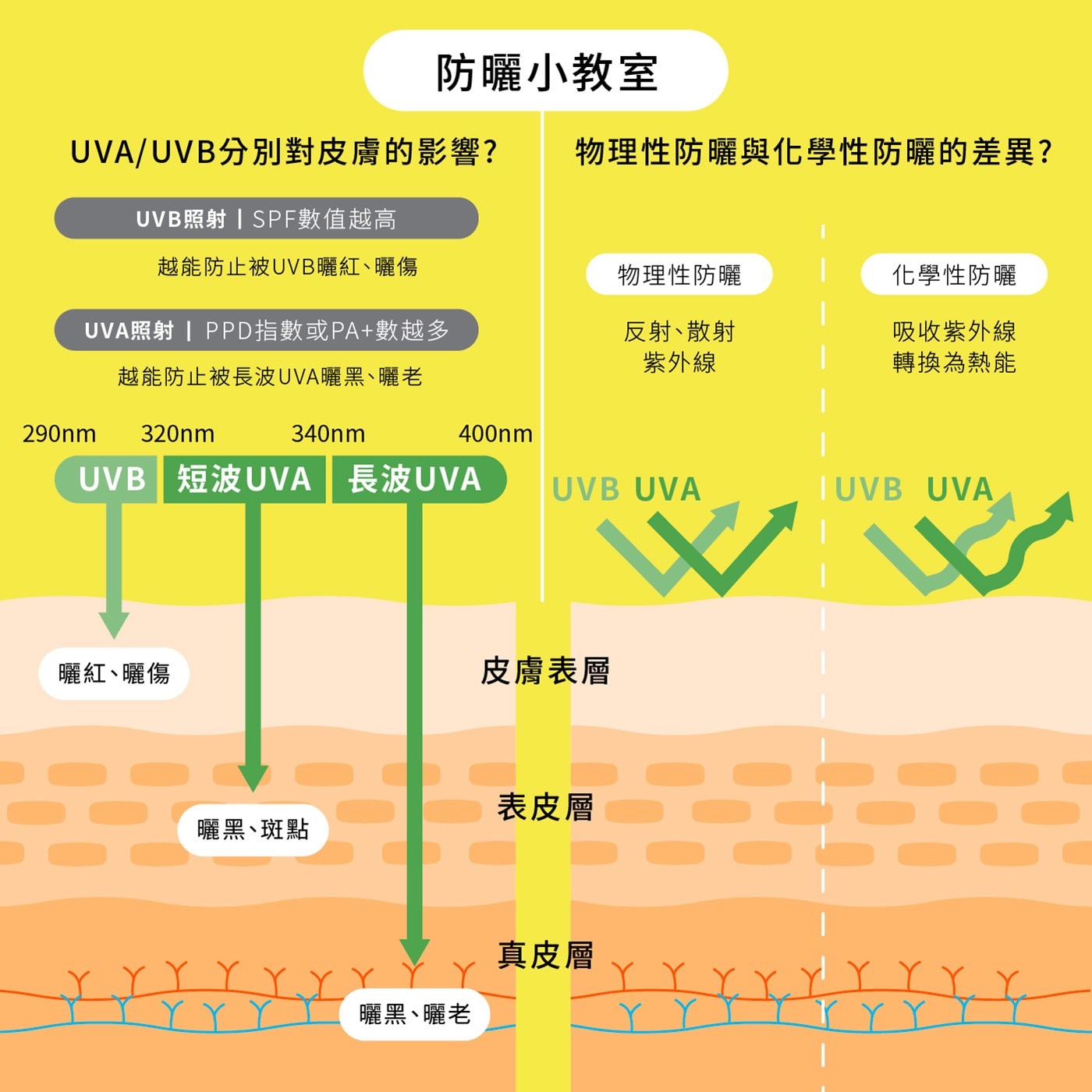 防曬小教室 UVA/UVB分別對皮膚的影響? 物理性防曬與化學性防曬的差異? UVB照射