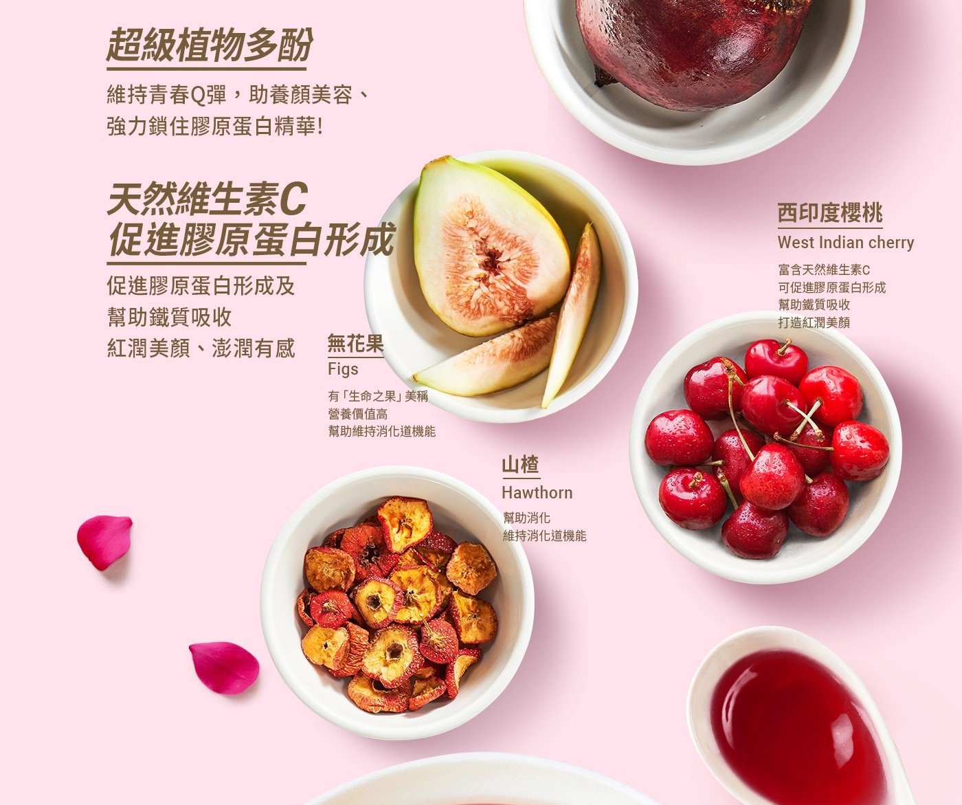 超級植物多酚 維持青春Q彈,助養顏美容、 強力鎖住膠原蛋白精華! 天然維生素C 促進膠原蛋白形成