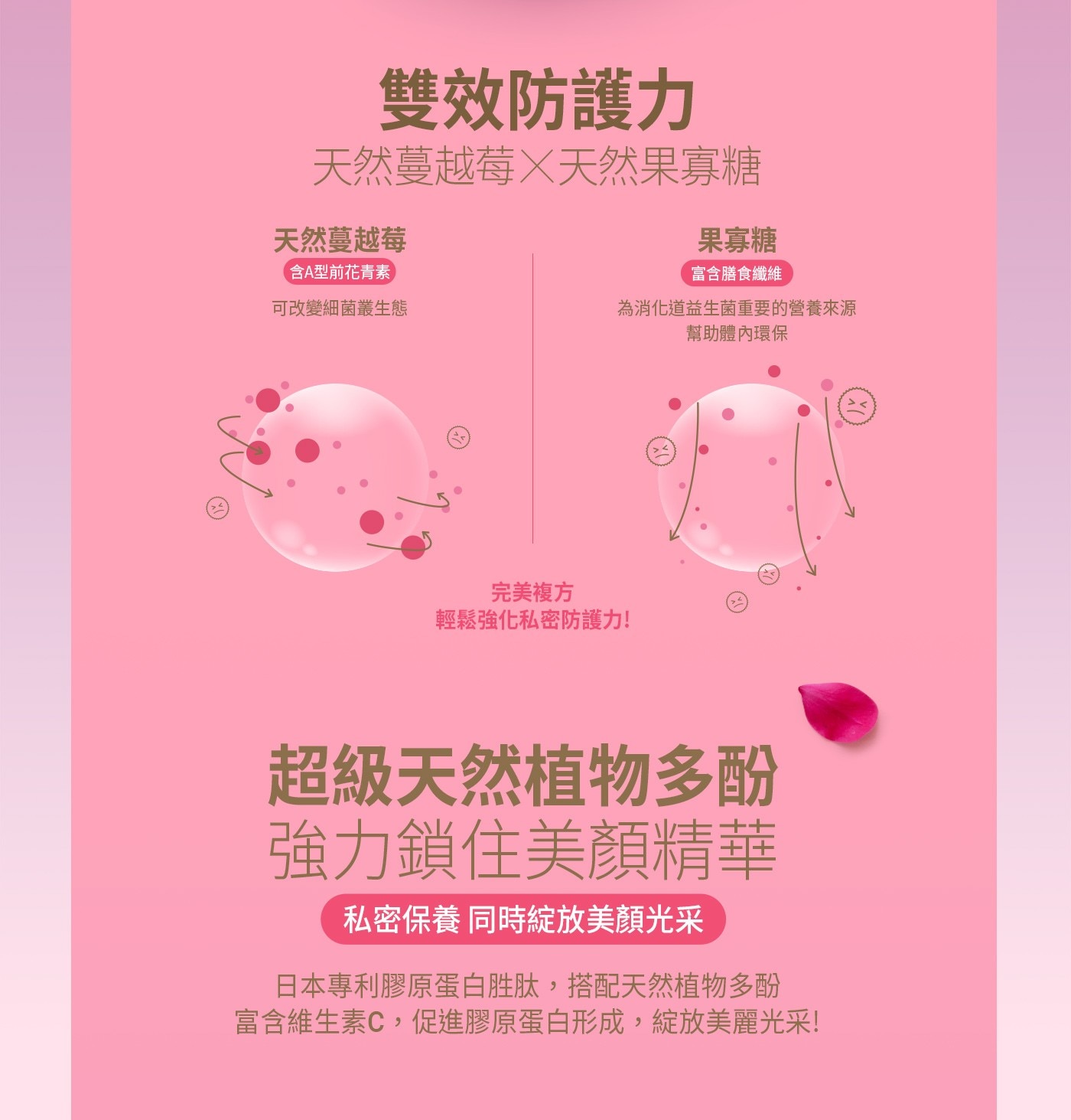 雙效防護力 天然蔓越莓 天然果寡糖 果寡糖 含A型前花青素 富含膳食纖維 可改變細菌叢生態