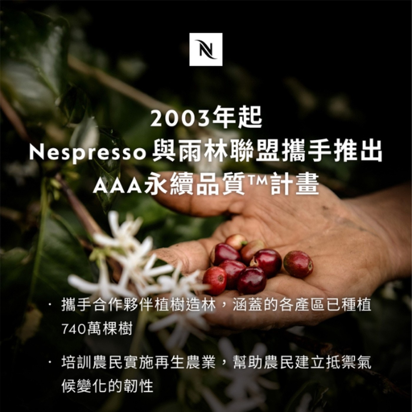 N 2003年起 Nespresso 與雨林聯盟攜手推出 AAA永續品質TTM計畫 攜手合作夥伴植樹造林,涵蓋的各產區已種植 740萬棵樹 培訓農民實施再生農業,幫助農民建立抵禦氣 候變化的韌性