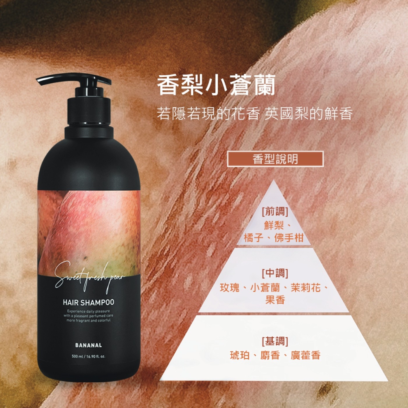 香梨小蒼蘭 若隱若現的花香 英國梨的鮮香